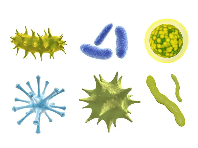 微生物检测